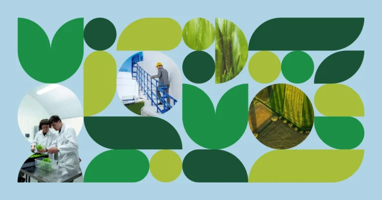 Bioeconomy Lithuania