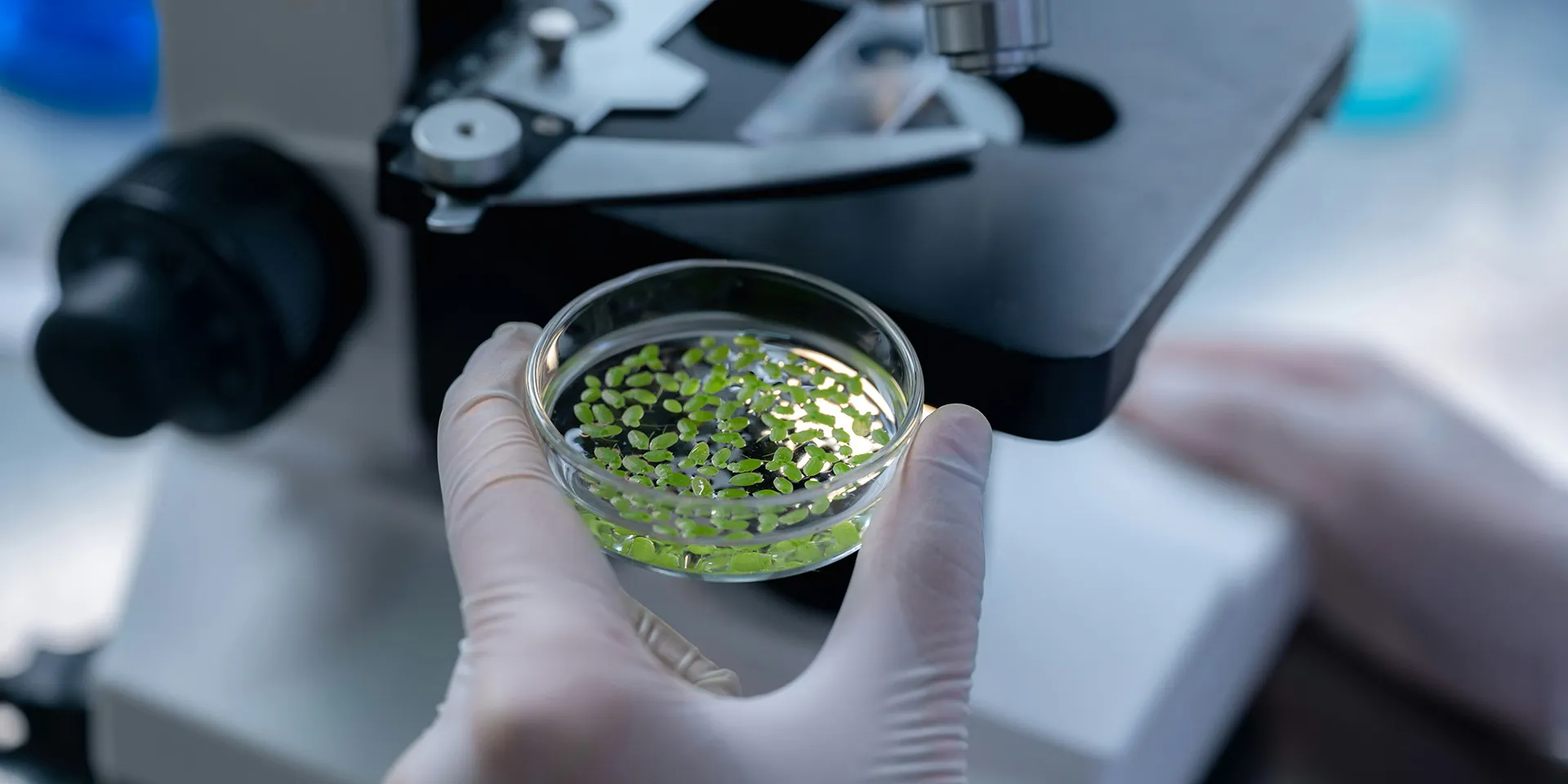 biotechnology